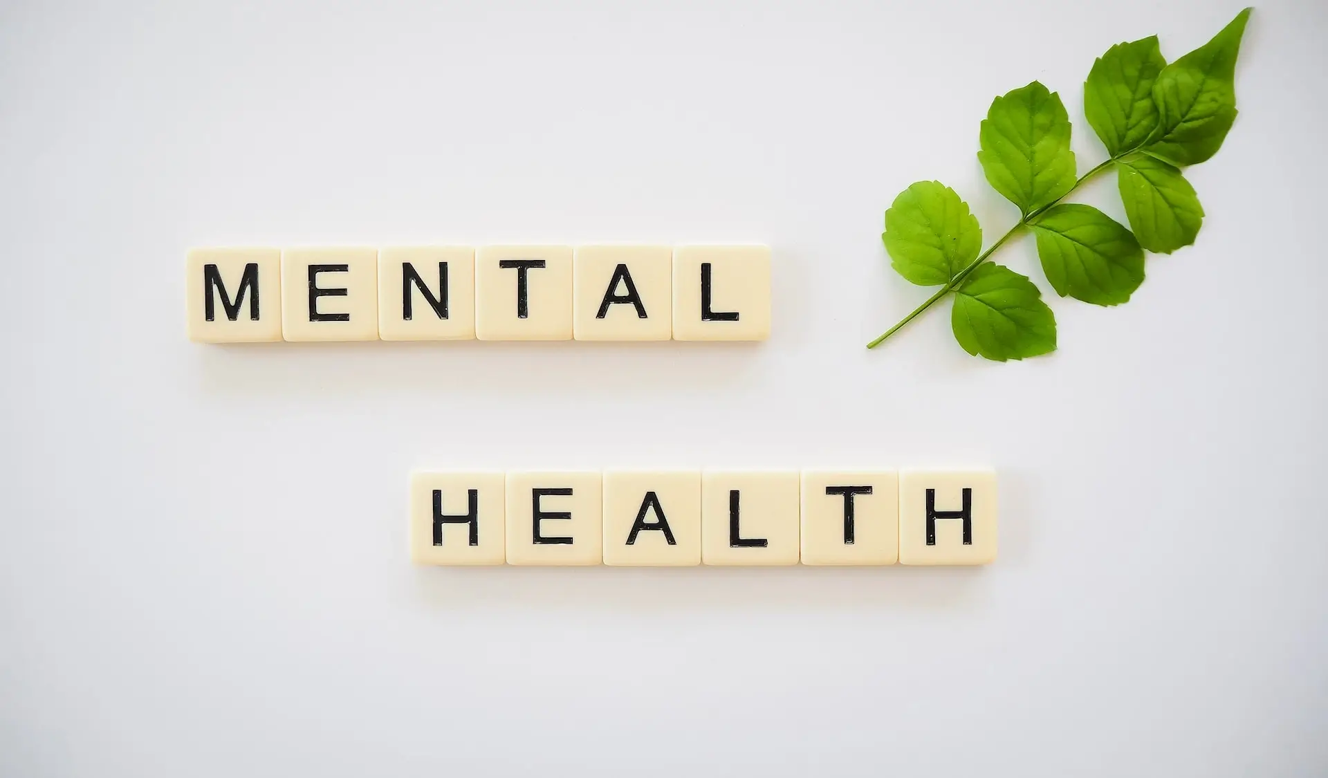 Mental Health and Well-being